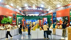 Nông sản Gia Lai tìm cơ hội vươn xa tại Hội chợ mùa Thu 2025