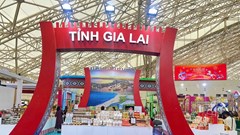 Gia Lai giới thiệu hơn 100 sản phẩm OCOP tại Hội chợ Mùa Xuân 2026