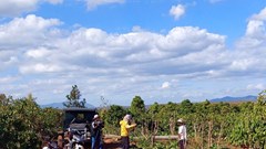 Gia Lai: Khẩn trương chi trả bồi thường, giải phóng mặt bằng Dự án cao tốc Quy Nhơn - Pleiku