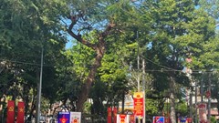 Khánh Hòa: Cần quan tâm, tạo điều kiện để du khách thực hiện quyền bầu cử  