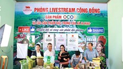 Gia Lai: Livestream bán nông sản gây Quỹ khuyến học 
