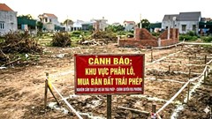 Gia Lai: Tăng cường kiểm soát, xử lý vi phạm trong lĩnh vực đất đai