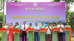 Tái hiện không gian văn hoá Huế tại Bảo tàng Pleiku