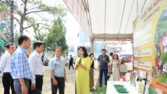 Gia Lai: Trải nghiệm không gian cà phê đặc sản, sản phẩm OCOP