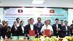 Gia Lai: Tập đoàn HAGL và tỉnh Champasak hợp tác Dự án trồng 5.000ha cà phê