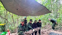 Đắk Lắk: Tìm thấy 2 hài cốt liệt sĩ từ ký ức của cựu giao liên 96 tuổi