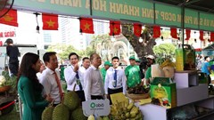 Khánh Hòa: Quảng bá, kết nối tiêu thụ, mở rộng chuỗi liên kết sản xuất nông sản