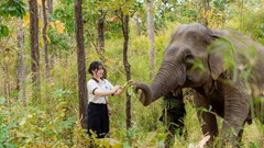  “Thắp lửa” du lịch cộng đồng