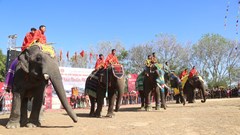Buôn làng dần vắng bóng voi