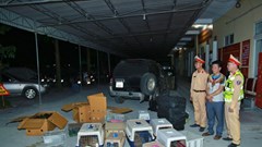 Phá đường dây vận chuyển 420 cá thể động vật hoang dã từ Nam ra Bắc