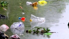 Tái diễn người dân thả cá chép, “tiện tay” xả rác bừa bãi