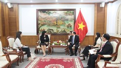 Tăng cường hợp tác VHTTDL