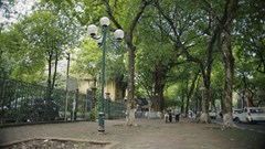 Một Hà Nội dung dị trong “Hoa sữa về trong gió”