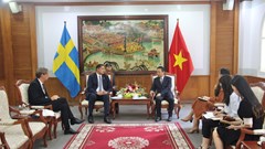 Tăng cường hợp tác VHTTDL