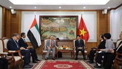 Tăng cường hợp tác VHTTDL giữa Việt Nam - UAE