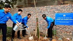 Đoàn Thanh niên Bộ VHTTDL lan tỏa tinh thần xung kích, tiên phong