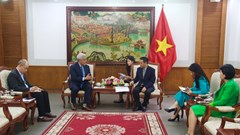 Phát huy vai trò của thể thao trong giảm tình trạng phạm tội, bạo lực ở thanh thiếu niên