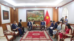 Thúc đẩy hợp tác VHTTDL