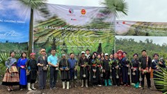 Gieo mầm xanh, vun đắp hạnh phúc