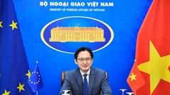 Tiếp tục thể hiện sự chủ động, tích cực của Việt Nam