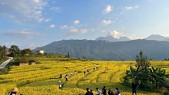 Lào Cai phát triển du lịch cộng đồng vùng đồng bào dân tộc thiểu số