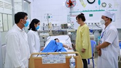 Ngộ độc thực phẩm gia tăng, Thủ tướng ra công điện chỉ đạo xử lý