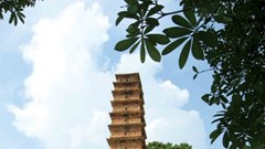 Phát huy giá trị di tích quốc gia đặc biệt tháp Bình Sơn gắn với phát triển du lịch
