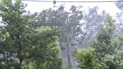 Hôm nay, bão số 3 đổ bộ các tỉnh Bắc Bộ