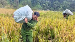 Thủ tướng chỉ đạo khẩn trương cung cấp lương thực, nhu yếu phẩm cho người dân bị ảnh hưởng bởi bão số 3