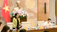 Cho ý kiến Luật sửa đổi, bổ sung một số điều của Luật Quảng cáo