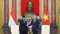 Tổng Bí thư, Chủ tịch nước Tô Lâm tiếp Tổng thống đắc cử Indonesia