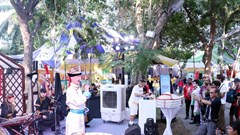  Tổ chức Ngày Văn hóa Việt Nam tại Mông Cổ năm 2024