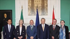 Tổng Bí thư, Chủ tịch nước Tô Lâm gặp Chủ tịch Thượng viện và Phó Chủ tịch Hạ viện Ireland