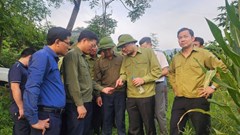 Bài học từ công tác phòng, chống, khắc phục bão số 3