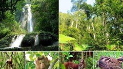 Thành lập mới 61 khu bảo tồn đa dạng sinh học quốc gia