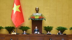 Khẩn trương đề xuất bổ sung sửa đổi Luật Phòng, chống tác hại thuốc lá