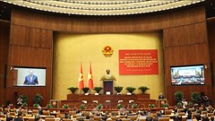 Nhiệm vụ của các ban đảng, ban cán sự đảng, đảng đoàn