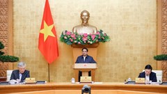 Thủ tướng chủ trì Phiên họp Chính phủ thường kỳ tháng 11.2024