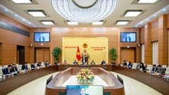 Tập trung cao độ để xử lý một khối lượng công việc rất lớn