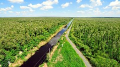 Phê duyệt Đề án Thành lập và phát triển thị trường carbon tại Việt Nam