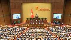 Nghị quyết của Quốc hội xử lý một số vấn đề liên quan đến sắp xếp tổ chức bộ máy nhà nước