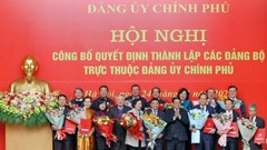 Thủ tướng trao Quyết định thành lập 15 đảng bộ trực thuộc Đảng uỷ Chính phủ