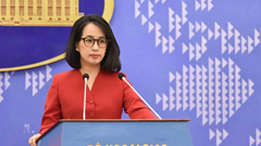 Sẵn sàng các biện pháp bảo hộ công dân Việt Nam là nạn nhân trong các vụ lừa đảo