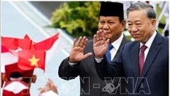 Dư luận đánh giá cao chuyến thăm của Tổng Bí thư Tô Lâm tới Indonesia và Singapore
