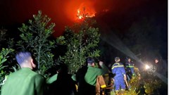 Tiếp tục triển khai công tác truyền thông, phổ biến pháp luật về phòng cháy, chữa cháy rừng