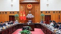 Thủ tướng chỉ đạo một số biện pháp tổng thể, hài hòa, hợp lý, hiệu quả, thúc đẩy quan hệ thương mại cân bằng, bền vững với Mỹ