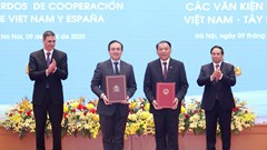 Việt Nam và Tây Ban Nha hợp tác trong lĩnh vực văn hóa và thể thao