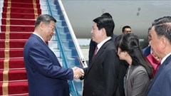 Tổng Bí thư, Chủ tịch nước Trung Quốc Tập Cận Bình đến Hà Nội, bắt đầu chuyến thăm cấp Nhà nước tới Việt Nam