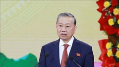 Đột phá thể chế, pháp luật để đất nước vươn mình