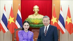 Tổng Bí thư Tô Lâm tiếp Thủ tướng Thái Lan Paetongtarn Shinawatra